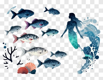 Mermaid With Fish And Seashells PNG
