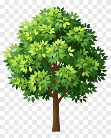 Green Tree With Brown Trunk PNG