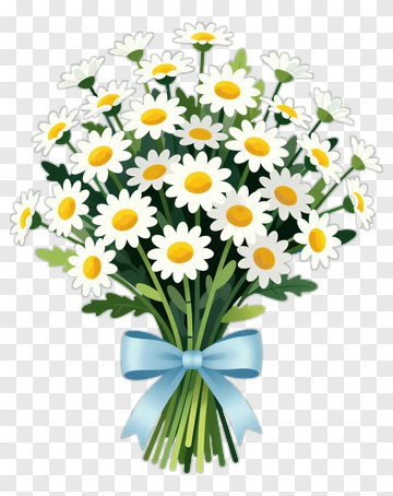 Bouquet Of Daisy Flowers With Blue Ribbon PNG