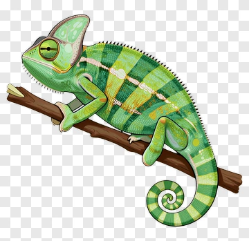 Chameleon On Branch PNG