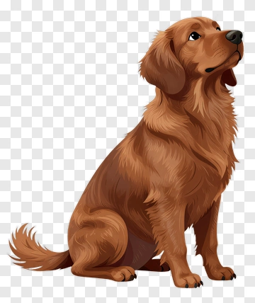 Brown Dog PNG