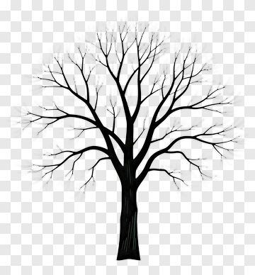 Bare Tree Silhouette PNG