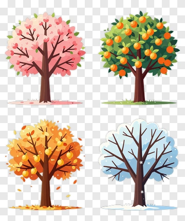 Four Seasons Trees In Cartoon Style PNG