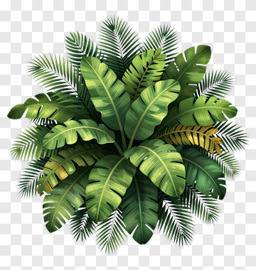 Tropical Leaves Composition PNG