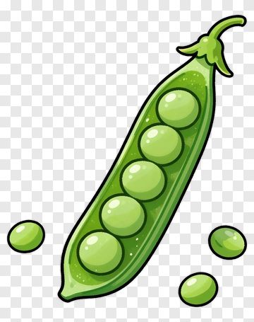 Green Pea Pod With Peas PNG