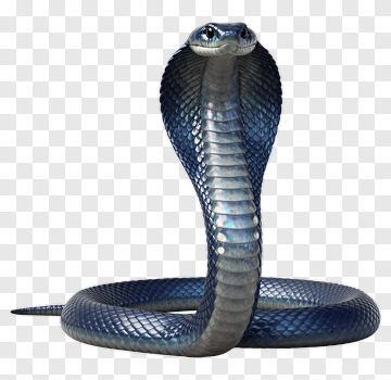 Blue Cobra PNG