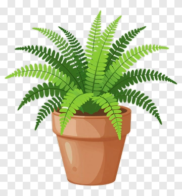 Potted Fern Plant PNG