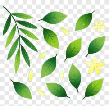 Green Leaves And Yellow Flowers PNG