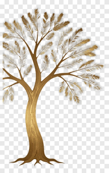 Golden Tree With Feathers PNG