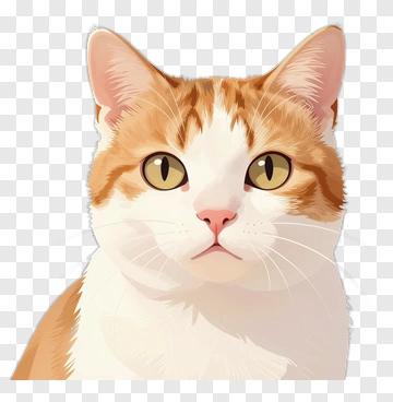 Cute Cartoon Cat Portrait PNG