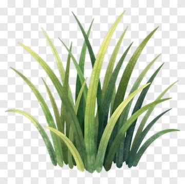 Watercolor Grass PNG