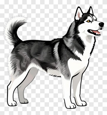 Husky PNG