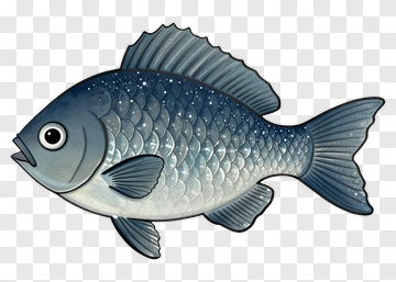 Blue Fish Illustration PNG
