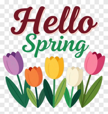 Hello Spring Tulip Greeting PNG