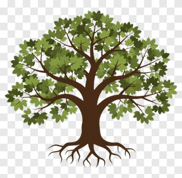 Flat Cartoon Tree With Leaves And Roots PNG
