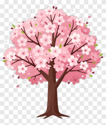 Cherry Blossom Tree In Full Bloom PNG