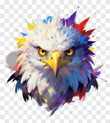 Eagle Portrait With Color Splatter PNG