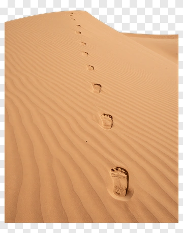 Footprints On A Sand Dune PNG