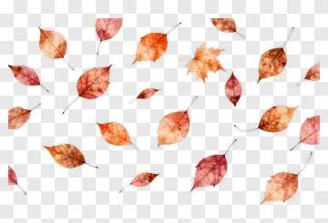 Falling Autumn Leaves PNG