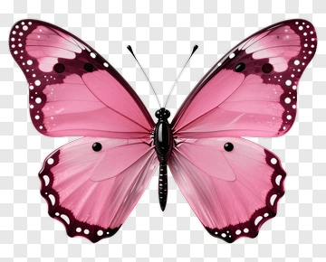 Pink Butterfly With Black Details PNG