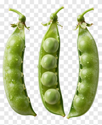 Three Fresh Pea Pods PNG