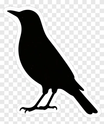 Bird Silhouette PNG