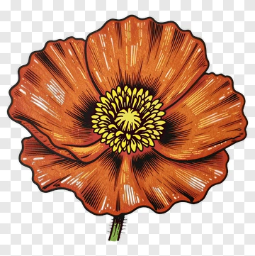 Hand-drawn Orange Poppy With Yellow Center PNG