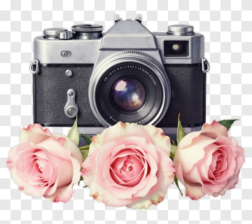Vintage Camera With Pink Roses PNG