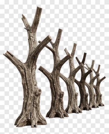 Row Of Deadwood Tree Trunks PNG