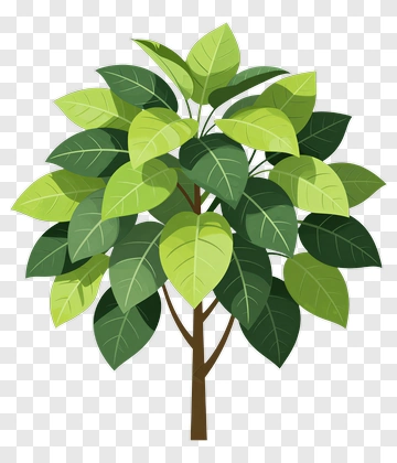Tree With Green Leaves PNG
