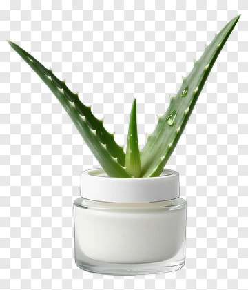 Aloe Vera In Cream Jar PNG