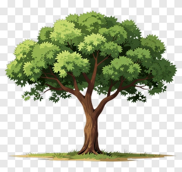 Cartoon Tree With Green Leaves PNG