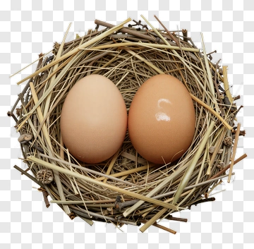 Two Eggs In A Nest PNG