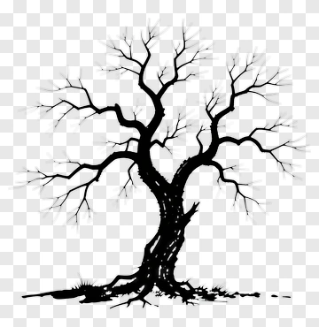 Bare Tree Silhouette PNG
