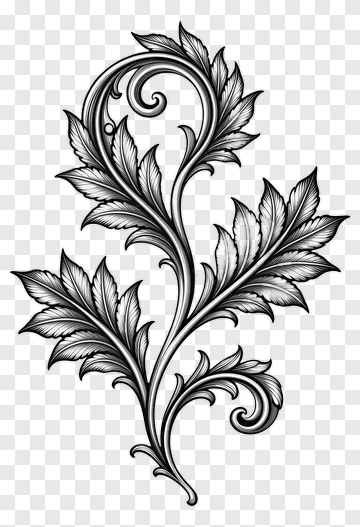 Black And White Ornamental Scrollwork Design PNG