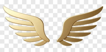 Golden Wings PNG