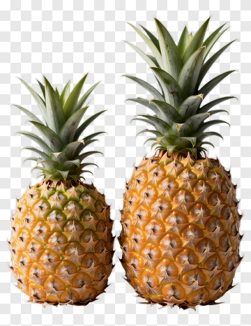 Two Pineapples PNG