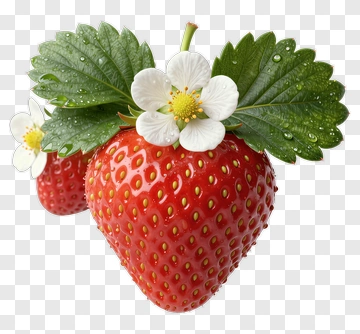 Fresh Strawberry With Leaves And Flower PNG