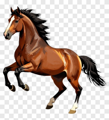 Cartoon Horse PNG