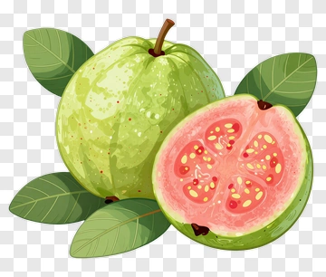 Fresh Guava With Leaf PNG