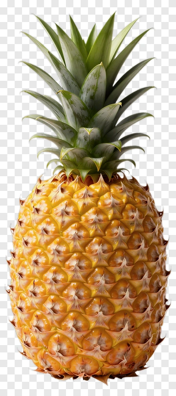 Pineapple PNG