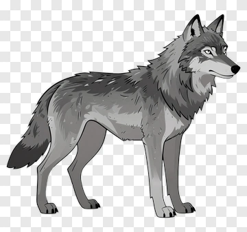 Wolf PNG