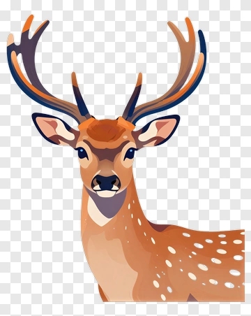 Fallow Deer With Antlers PNG