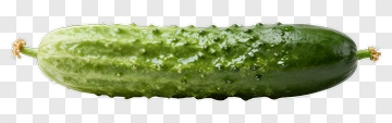 Fresh Cucumber With Water Droplets PNG