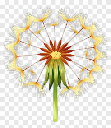 Dandelion PNG
