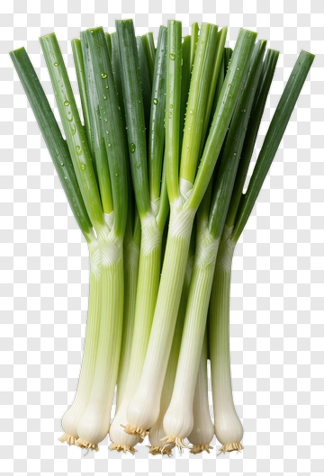 Fresh Green Onion PNG