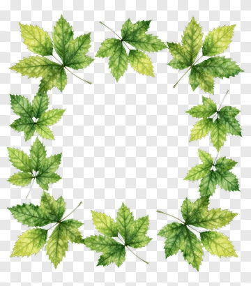 Green Leaf Frame PNG