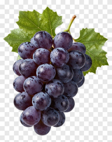 Cluster Of Purple Grapes With Leaves PNG