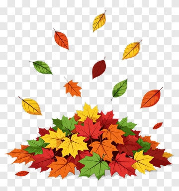 Falling Leaves In Autumn PNG