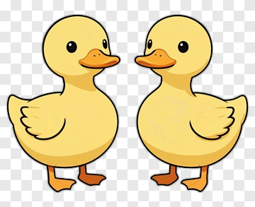Two Yellow Ducklings Facing Each Other PNG